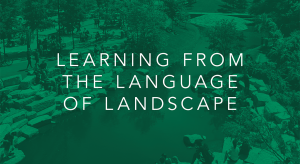 Learning from the Language of Landscape