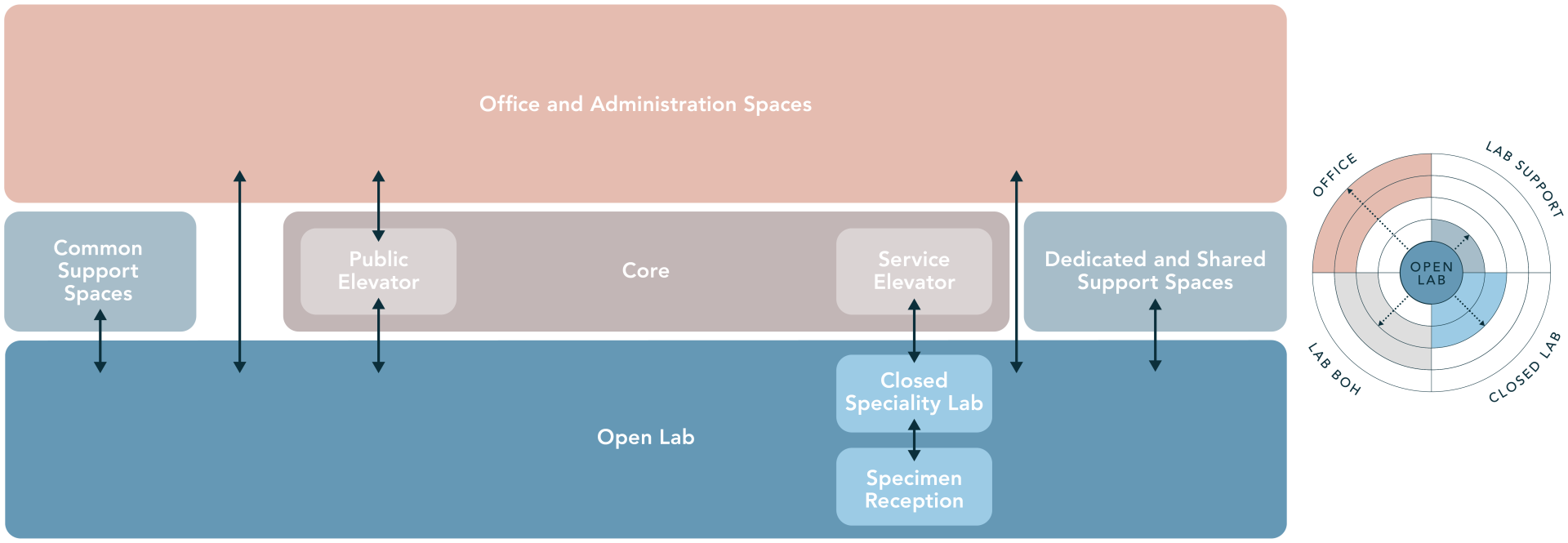 Confirm lab, office, and core elements, spatial ratios, and key adjacencies and circulation requirements against baseline BOD.